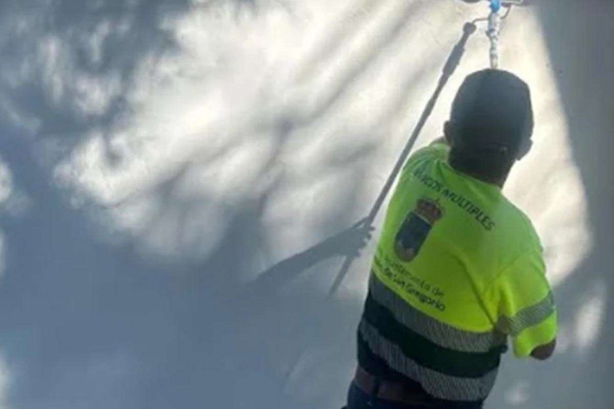Arenales de San Gregorio afronta el desafío de ampliar su cementerio